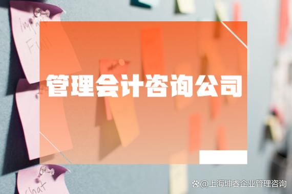 怎么选择管理会计咨询公司?
